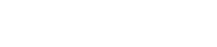 MSC HOLDINS